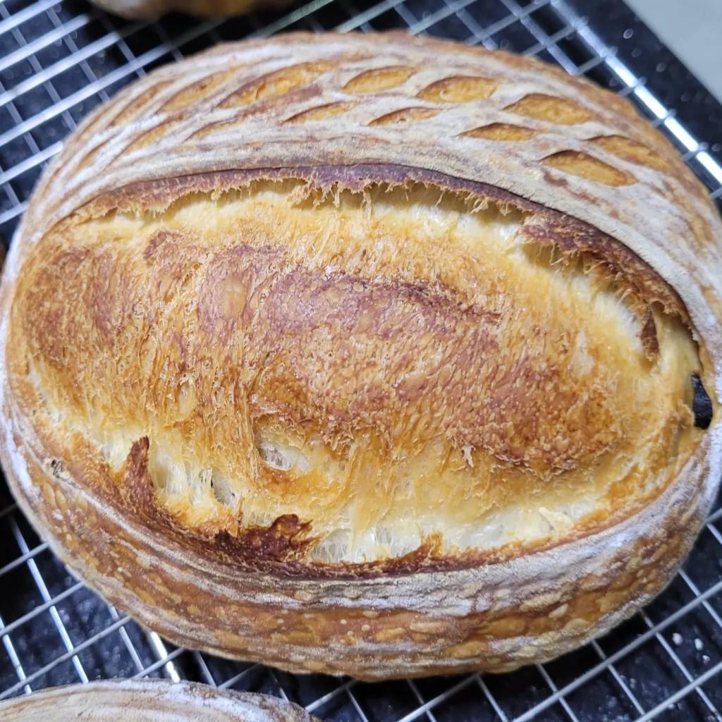 bread01.jpg