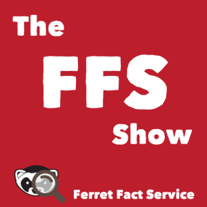 The-FFS-Show-cover-art-3000px-600x600.png